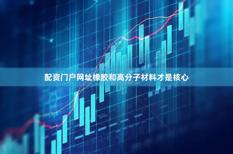 配资门户网址橡胶和高分子材料才是核心