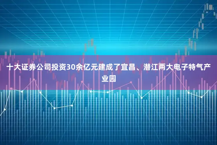 十大证券公司投资30余亿元建成了宜昌、潜江两大电子特气产业园