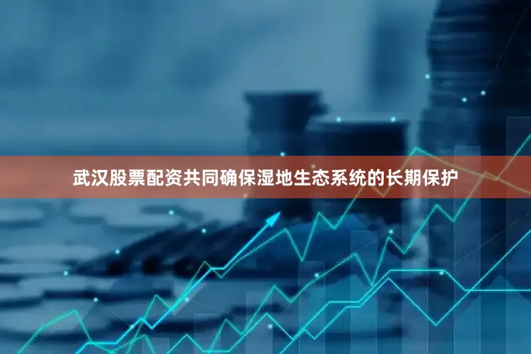 武汉股票配资共同确保湿地生态系统的长期保护
