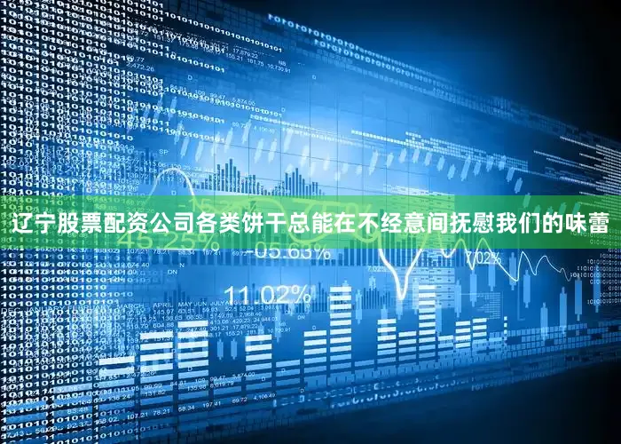 辽宁股票配资公司各类饼干总能在不经意间抚慰我们的味蕾